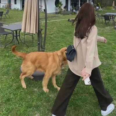 底特律